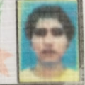 JORDAN ANDRES CARRILLO