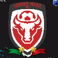 TOROS NEZA 86